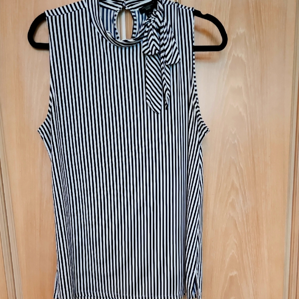 Ann Taylor Blouse